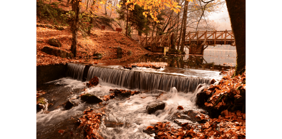 Batı Karadeniz Turu